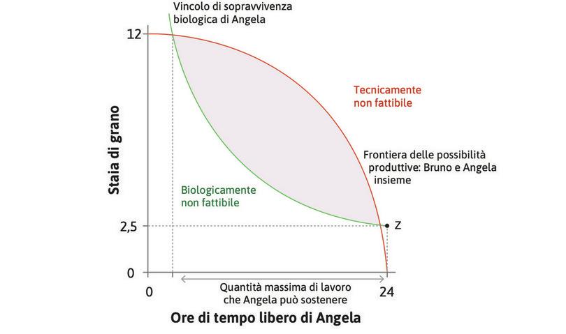 Il numero massimo di ore che Angela può dedicare al lavoro
: Data la frontiera delle possibilità produttive, c’è una quantità massima di lavoro superata la quale Angela non potrebbe sopravvivere, anche se consumasse tutto il suo raccolto.
