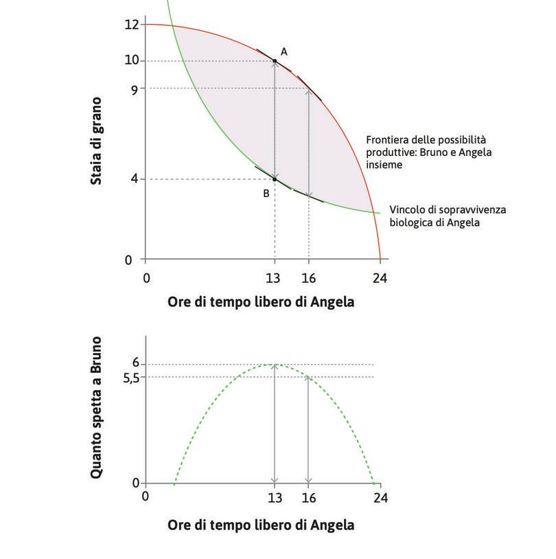 La distanza massima
: La distanza verticale tra la frontiera delle possibilità produttive e il vincolo di sopravvivenza biologica è massima quando Angela lavora 11 ore (le rimangono 13 ore di tempo libero).
