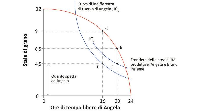 L’effetto della legge
: Con la legge che riduce la giornata lavorativa a 4 ore e fissa la retribuzione minima a 4,5, Angela si trova su una curva di indifferenza più alta, in corrispondenza di F. La quota di Bruno si riduce da CD a EF (2 staia).

