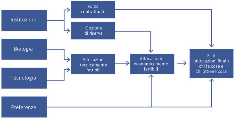 
: Le determinanti fondamentali dei risultati economici.
