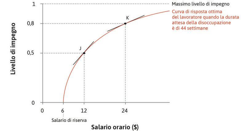 Rendimenti marginali decrescenti
: Tuttavia, per livelli più alti di salario, l’effetto di ulteriori aumenti del salario sull’impegno è via via minore.
