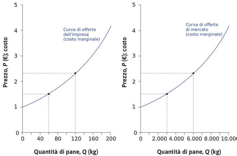 Curve di offerta individuale e di mercato.
: Curve di offerta individuale e di mercato.
