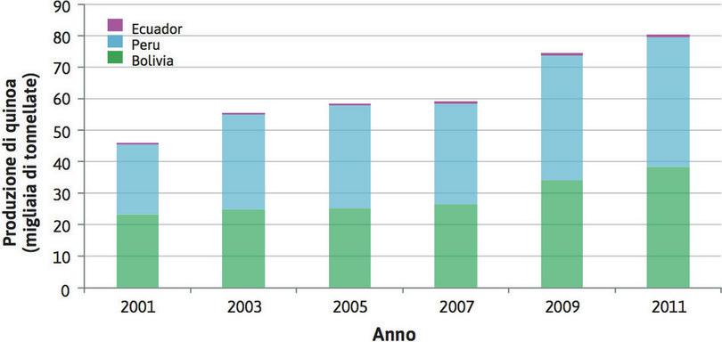 Produzione di quinoa.
: Produzione di quinoa.

