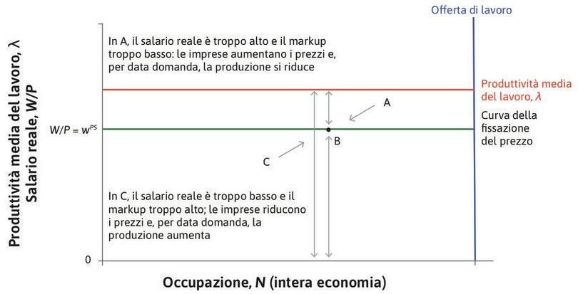 Il punto C
: Al di sotto della curva della fissazione del prezzo, ad esempio nel punto C, le imprese decidono di ridurre i prezzi e assumere più persone.
