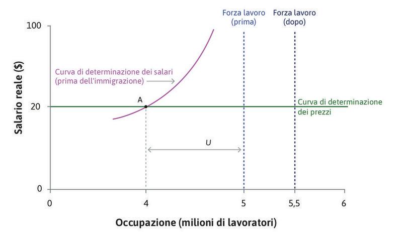 I lavoratori immigrati entrano a far parte della forza lavoro.
: Questo fa aumentare la forza lavoro da 5 a 5,5 milioni di lavoratori.
