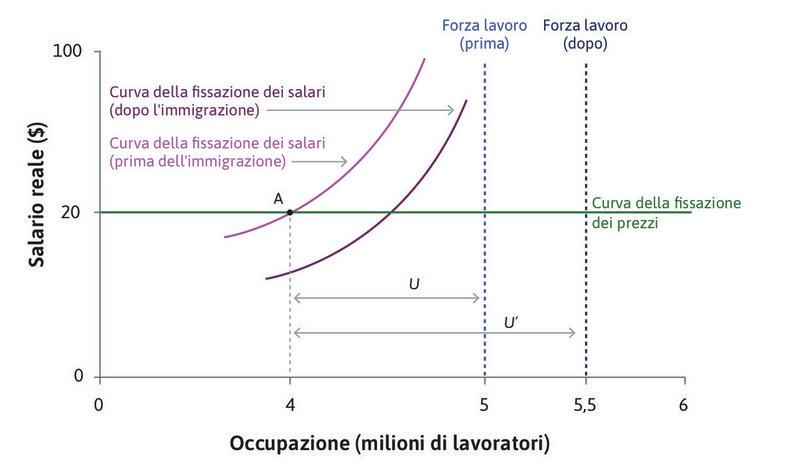 La curva della fissazione del salario si sposta verso il basso
: Per ogni livello di occupazione, c’è adesso un numero maggiore di lavoratori disoccupati. L’aumento della disoccupazione è mostrato dalla distanza U’. Il costo associato alla perdita del lavoro è aumentato, e le imprese sono quindi in grado di assicurarsi l’impegno dei lavoratori pagando un salario minore.
