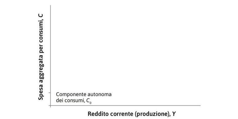 Il consumo autonomo
: È l’ammontare fisso che le famiglie spenderanno indipendentemente dal proprio attuale livello di reddito.
