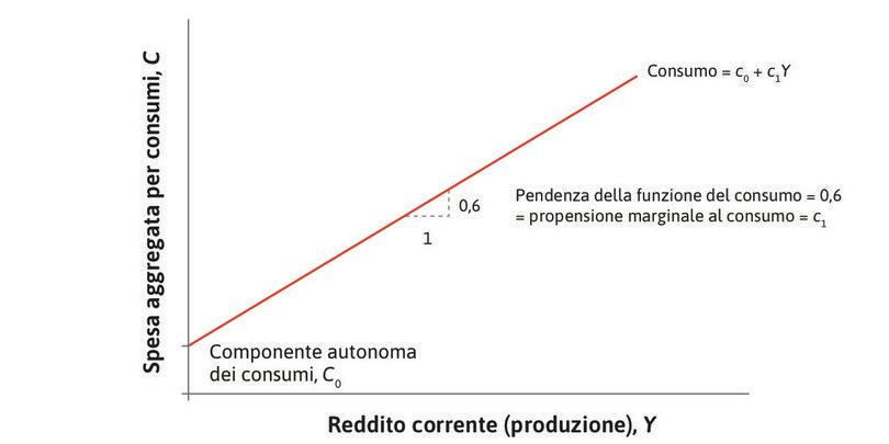 La funzione del consumo aggregato.
