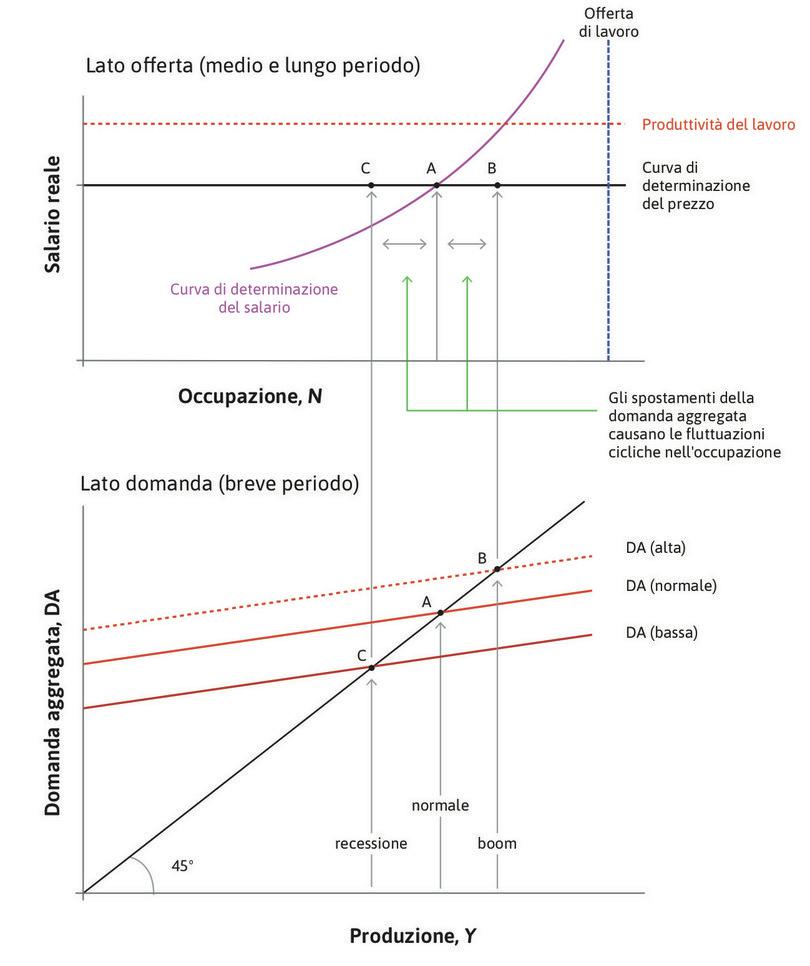 Fluttuazioni cicliche attorno alla disoccupazione di equilibrio.
