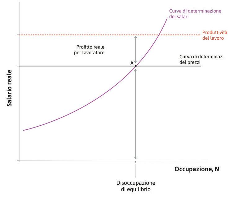 Equilibrio nel mercato del lavoro
: In A il mercato del lavoro è in equilibrio. I salari reali sulla curva della fissazione del salario sono uguali a quelli sulla curva della fissazione del prezzo: le richieste relative ai salari reali e ai profitti reali per lavoratore sono compatibili con la produttività del lavoro.
