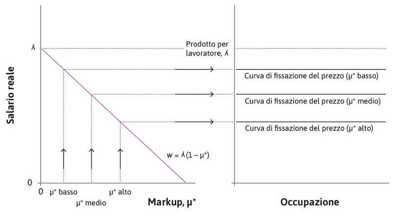 Variazioni del markup di lungo periodo determinano uno spostamento della curva della fissazione del prezzo.
