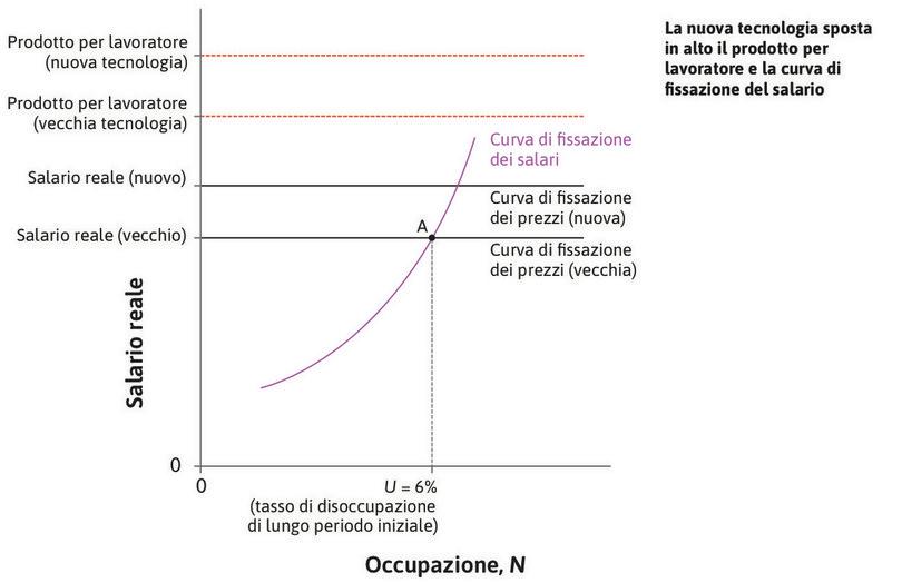 La risposta all’introduzione di una nuova tecnologia
: L’adozione di una nuova tecnologia fa sì che una stessa quantità di output possa essere prodotta da un numero inferiore di lavoratori. Come si aggiusta l’economia?
